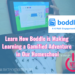 Gamified Learning with Boddle app for kids - Homeschooling with Tech